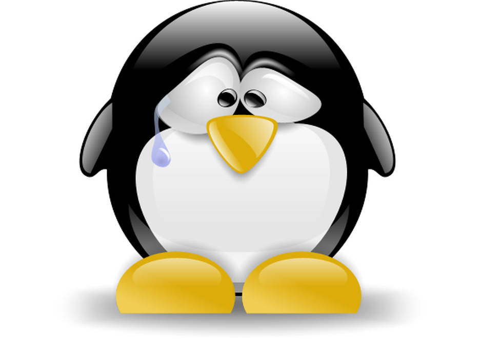 Casi todas las distros de Linux en riesgo por bug en glibc