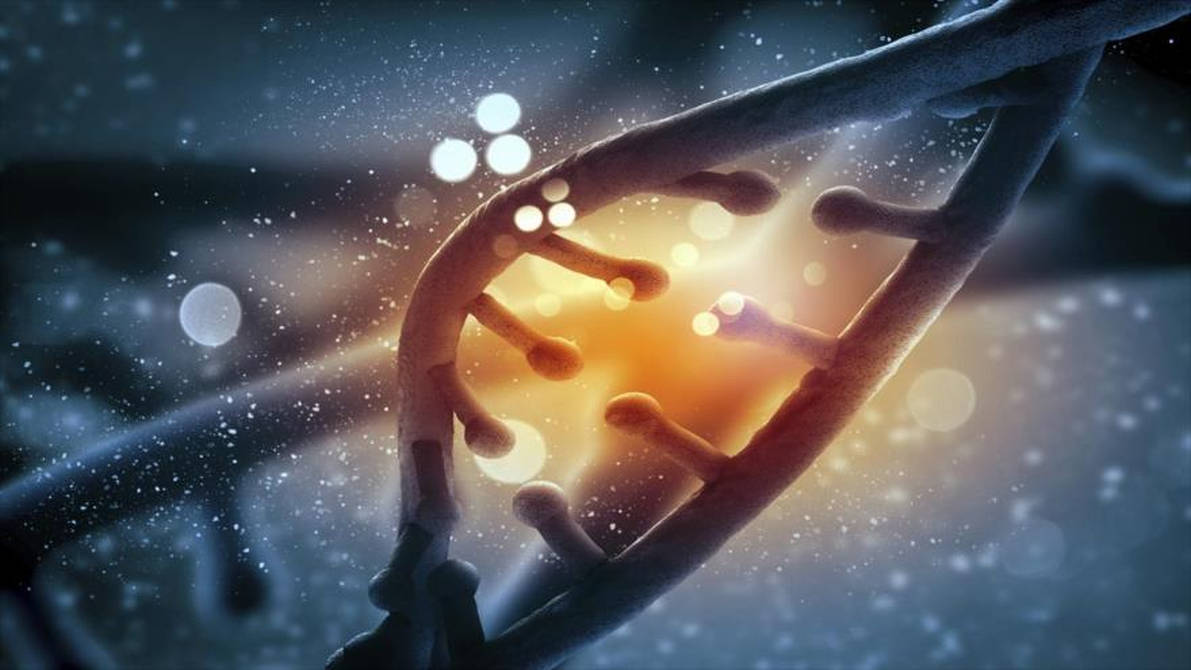 Casi el 17% de tu ADN no es humano, afirma un estudio