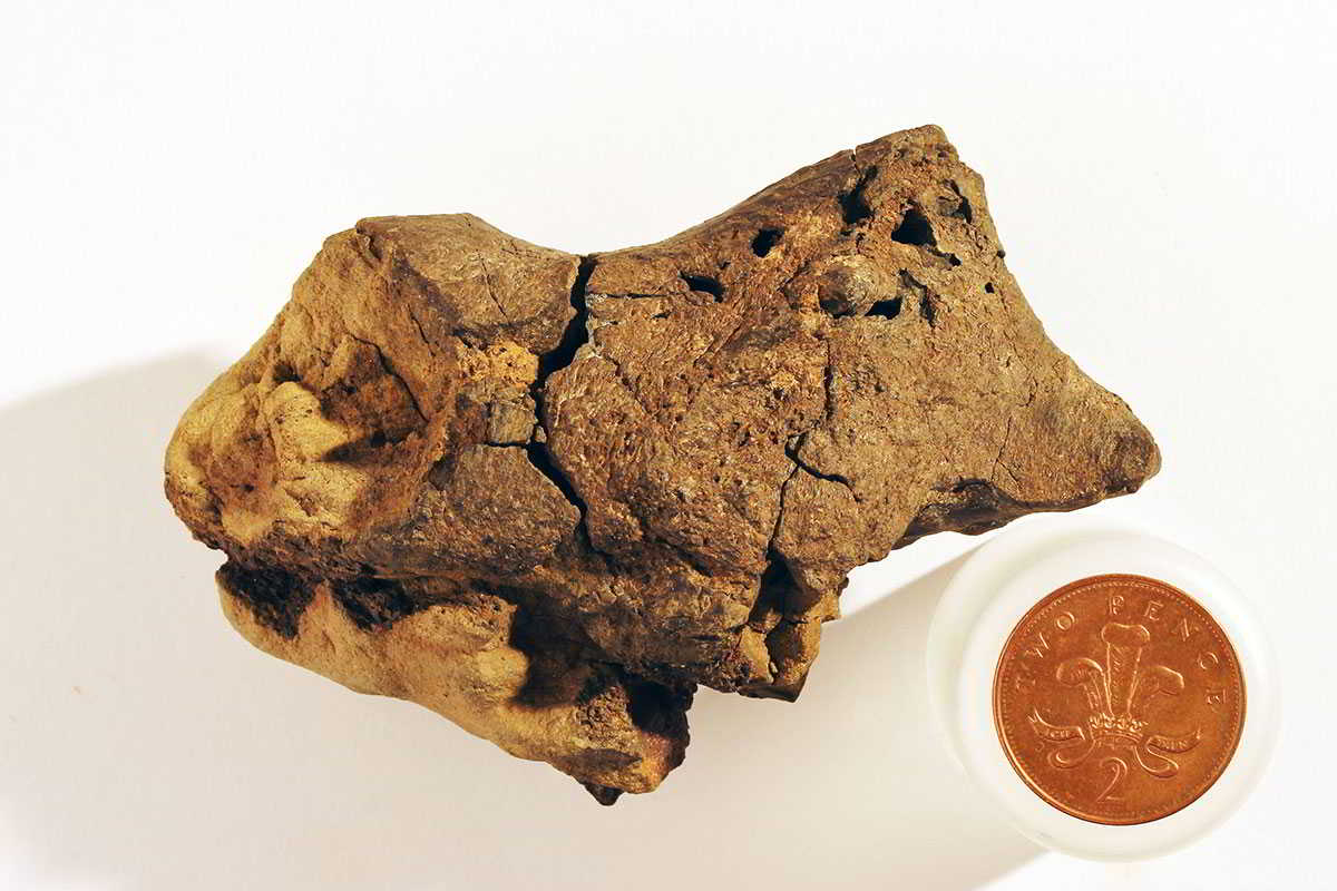Este pedazo de roca podría ser el descubrimiento más grande de la década