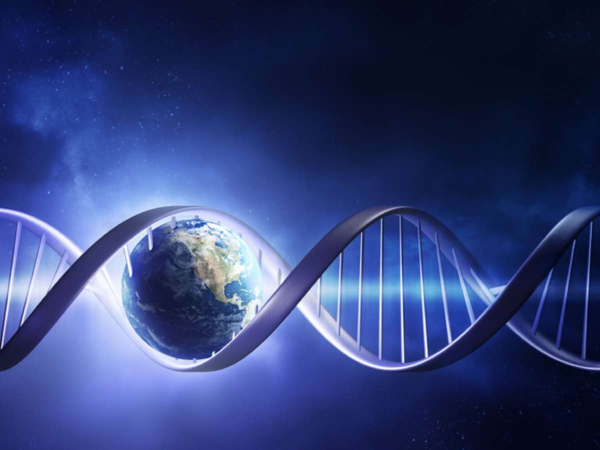 Ayudando a detener el cambio climático con ingeniería genética